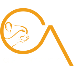Chi-Tah Accounting logo