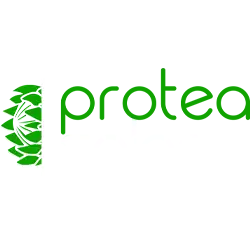 Protea Solar Logo